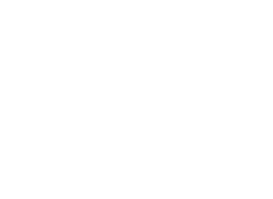 LEANDER HOLDINGS